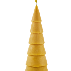 eglė ratuota plati