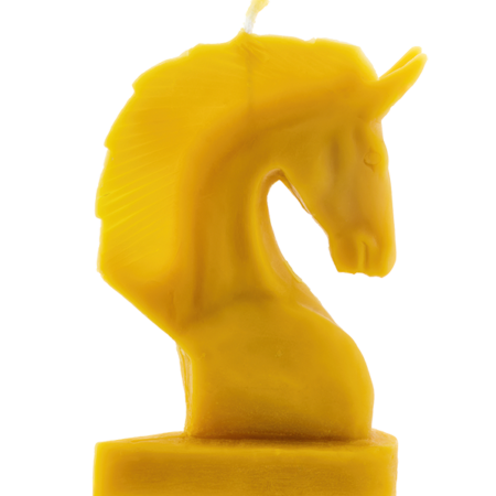 Žirgo galva1