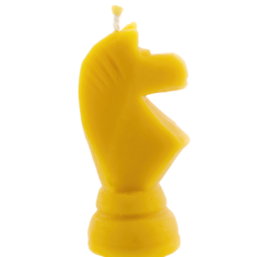 šachmatas žirgas 2