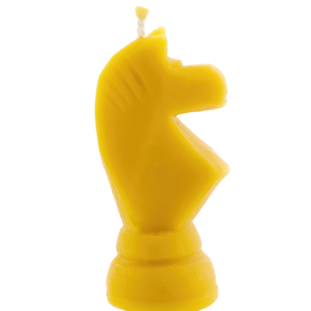 šachmatas žirgas 2